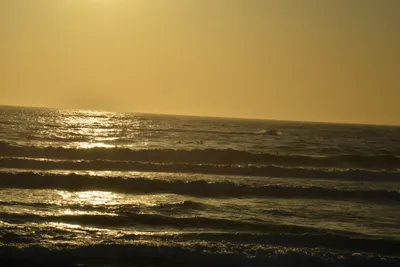 DSC_7290 (Large).JPG